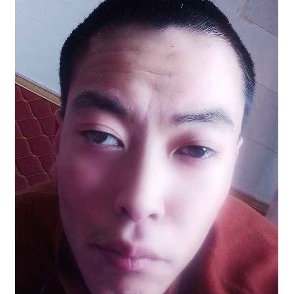 宁夏25岁单身帅哥真诚找对象-博尔塔拉蒙古征婚相亲网